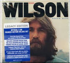 Remembering Taylor Hawkins » Endless Summer Quarterly