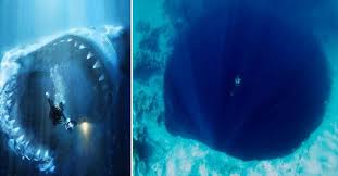 Check spelling or type a new query. If You Feel Uncomfortable Looking At These Images Then You Might Suffer From Thalassophobia