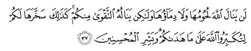 لن ينال الله لحومها ولا دماؤها اعراب