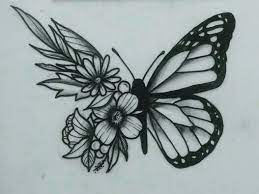 Pin On P Butterflies Bees Dragonflies