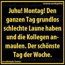 Maybe you would like to learn more about one of these? Cool Witzig Knuddelig Praktisch Oder Einfach Nur Inspirierend Lustige Spruche Witzige Spruche Spruche Zitate