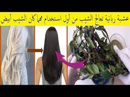 الآس عشبة ربانية بامتياز تقضي على الشيب نهائيا مهما كان الشعر ابيض ومهما كان عمرك في 3 أيام فقط youtube hair control body skin care body skin