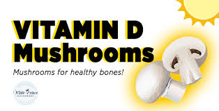 Are you getting enough sun? White Prince Mushrooms Vitamin D