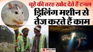 Rajasthan  नर्सरी अकादमी  Rescue Operation Who Are Rat Miners And Know Working  Model - Amar Ujala Hindi News Live - Rajasthan:कौन हैं ये रैट माइनर्स,  जिन्हें मिली  चूतनि को बाहर निकालने की जिम्मेदारी;