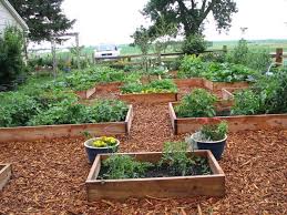 Patio & garden / grills & outdoor cooking / grills / grilling fuels and fire starters / wood chips and charcoal. Opinion Gravel Or Wood Chips Looks Like Wood Chips Win I M Putting In Wood Chips Weeds Will Com Wood Chips Landscaping Wood Chips Garden Lawn And Garden