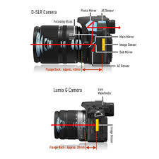 Daftar harga kamera mirrorless 2 jutaan terbaik di tahun ini, yang paling cocok untuk kamu yang sedang mencari kamera murah namun bagus. Pilih Kamera Dslr Atau Mirrorless Mana Yang Lebih Baik Rumor Kamera