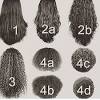 Curl Pattern Natural Hair Types