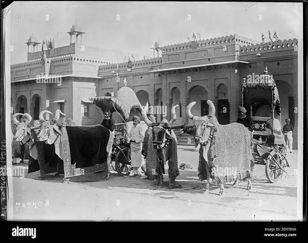 Prince of wales in bikaner Black and White Stock Photos & Images - Alamy