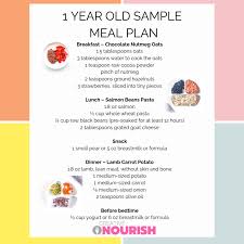 1 Year Old Meal Plan Nutritionist Approved Creative Nourish 1 Year Old Meals Meal Planning Baby Food Recipes