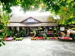 Maybe you would like to learn more about one of these? About Us Albanese Garden Center And Greenhouse