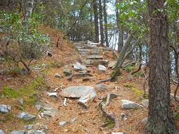 Trail On Monument Mountain Great Barrington Ma Great Barrington Barrington Berkshires