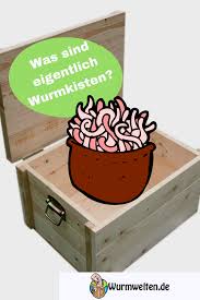 Was Ist Eine Wurmkiste Wurmkiste Wurm Kiste