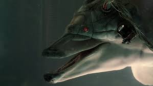 images?q=tbn:ANd9GcRjyA2-RSRqB6KjZioadiZylw4LADB6Er8GYhhYAkq-7RaNyb3w