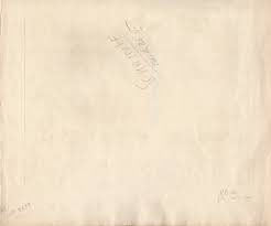 Image result for Brucea antidysenterica