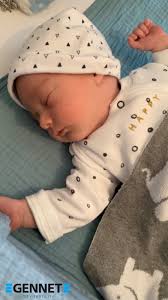 GENNET City Fertility