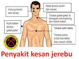 Penyebab dan dampak pencemaran udara merupakan salah satu persoalan lingkungan hidup yang bersifat klasik bagi masyarakat perkotaan. Alam Sekitar