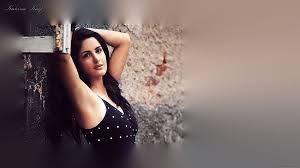 Katrina Kaif Hot In Ek Tha Tiger HD wallpaper | Pxfuel