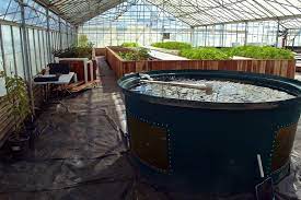 Nonprofit Hopes To Spread Aquaponic Farming To Schools Around The Country Pbs Newshour