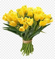 Beautiful bouquet colorful spring flowers royalty free. Free Download Of Bouquet Of Flowers Icon Yellow Flower Bunch Png Free Transparent Png Clipart Images Download