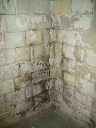 To eliminate it, fill a spray bottle with water and spray the floor, then scrub the floor with a stick scrub brush as much as possible. How To Get Rid Of Mold Before Exterior Painting Cinder Block Walls Cinder Block Foundation Basement Wall Colors