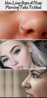 How Long Does A Nose Piercing Take To Heal Piercing Every Type Of Piercing How Long Does A Nose Piercing Take Nasenpiercing Nasen Piercing Piercing