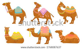 Browse our camel riding images, graphics, and designs from +79.322 free vectors graphics. The Best Free Camel Silhouette Images Download From 289 Free Silhouettes Of Camel At Getdrawings