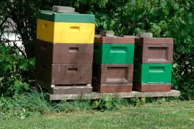 Folie 17 kann die beeinträchtigung durch wirtschaftlich zumutbare maßnahmen beseitigt werden ? Grenzabstande Fur Bienenvolker