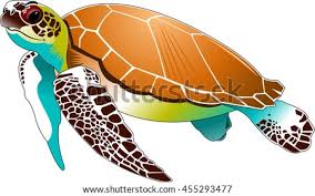 Over the years, tourism development & investment company, the master developer of saadiyat island has taken steps to ensure the safe. Baby Sea Turtle Drawing At Getdrawings Free Download