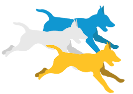 We help your furry friend be the dog you know they can be! Whiskers And Wags Dog Training In Calgary