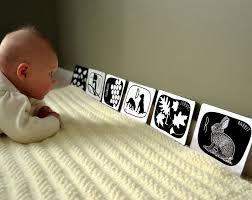 Black And White Baby Flash Cards Pdf Animals And Nature Alphabet Black And White Baby Art Flash Cards Printable Instant Download Flash Card Set Nursery Wall Cards Abc Cards Black And White Baby Montessori Baby Toys Montessori Baby