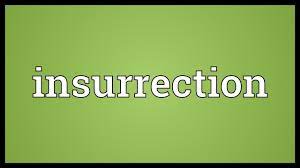 Similar to insurrection, the act of sedition is also a crime under the us code, which characterizes it. Insurrection Meaning Youtube