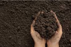 The Real Dirt on Dirt