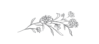 Emily Wimer and James Herrman's Wedding Website