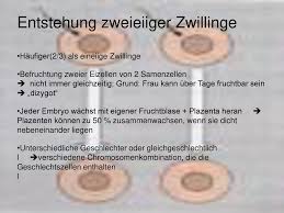 Zwillingsforschung Ppt Herunterladen
