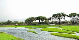 صور أودية جازان قبلة سياحية ساحرة تنقصها الخدمات https ift tt 2yqydgm https ift tt 36afbs4 golf courses field golf