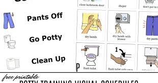Children with autism have unique challenges that can make potty training all the more daunting for parents and caregivers. Free Potty Training Visual Schedules And Next Comes L Hyperlexia Resources
