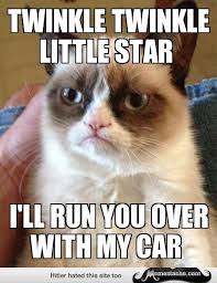 Grumpy Cat Twinkle Twinkle Little Star Grumpy Cat Quotes Grumpy Cat Humor Grumpy Cat Meme