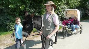 La Flanerie Ouvre Les Randonnees A Dos D Ane Au Handicap