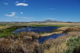 Image result for Little Catnip Spring - Sheldon Refuge Winnemucca NV