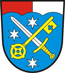 Image result for puklice