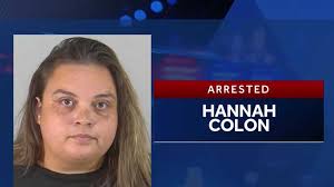 Lake County Sheriff's Office employee facing charges