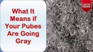 Or maybe you wonder why your granddad has a full head of silver hair when in old pictures it's dark brown. What It Means If Your Pubes Are Going Gray Youtube