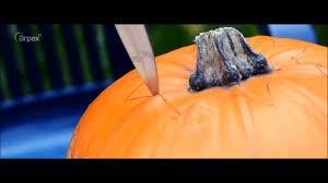 Image result for šablony na vyřezávání dýní