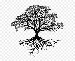 Choose from 970+ tree roots graphic resources and download in the form of png, eps, ai or psd. Oak Tree Silhouette With Roots Hd Png Download Vhv