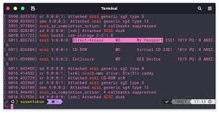 The question is, why isn't linux seeing the . Cara Membuka Password Harddisk Di Linux Susantokun