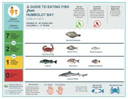 fish advisory for humboldt bay offers safe eating advice for