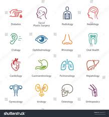 Testicular cancer is cancer that develops in the testicles, a part of the male reproductive system. Health Conditions Flashcards Quizlet