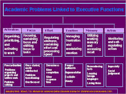 copy of fixed mindset executive functioning controls our