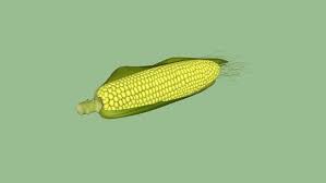 Fructs And Vegetables Corn 3d Warehouse Corn Vegetables Food