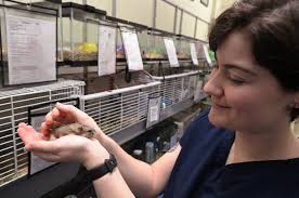 Marin organizations help L.A. wildfire victims